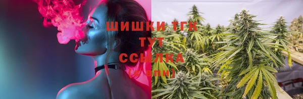 spice Магас