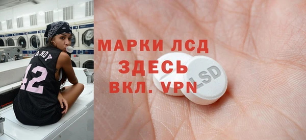 гашик Майский