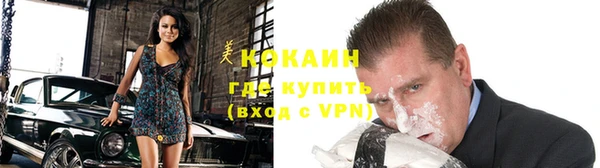 гашик Майский