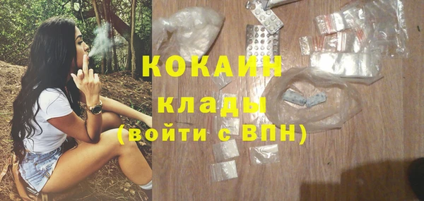 гашик Майский