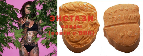 гашик Майский
