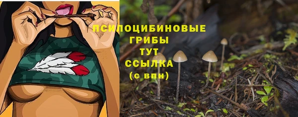 spice Магас