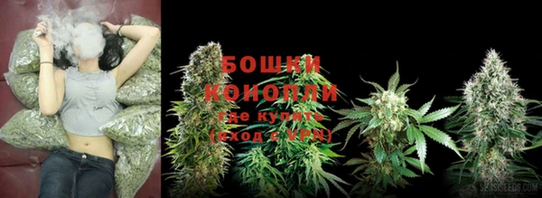 гашик Майский