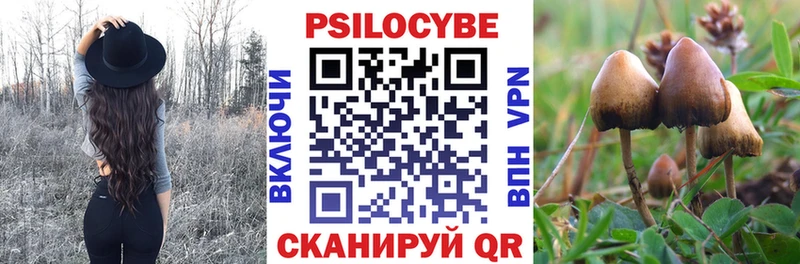 Купить  Дмитриев  Галлюциногенные грибы мухоморы 